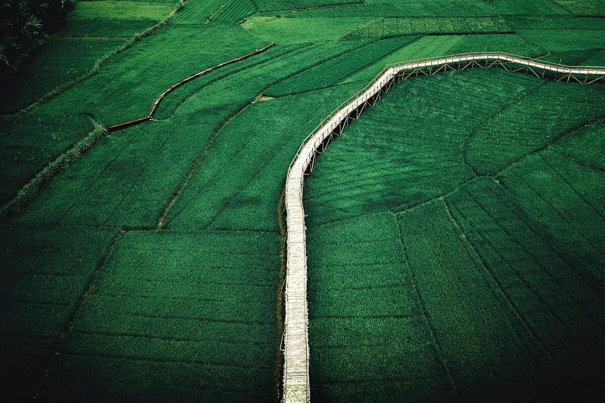 Loteamento é a divisão de uma grande área de terra em lotes menores destinados à edificação. O responsável é o loteador, que pode ser tanto uma pessoa física, como uma empresa privada, um órgão público ou uma cooperativa.